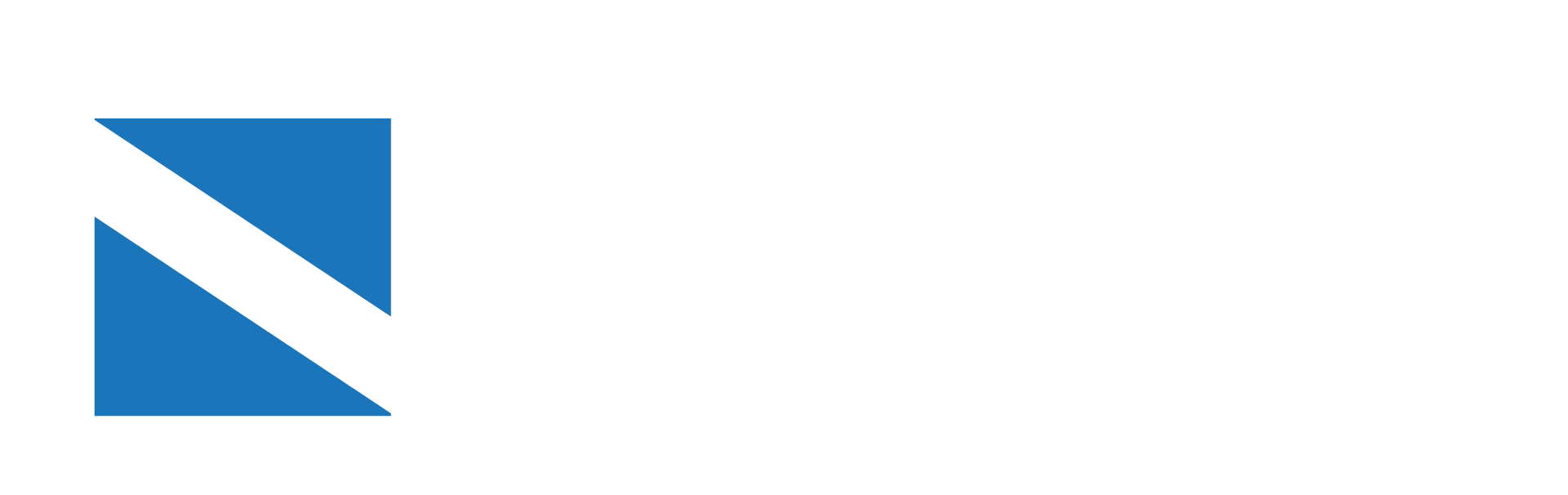 netsquare_logo